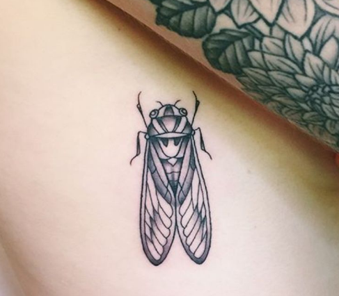 meaning of cicada tattoo