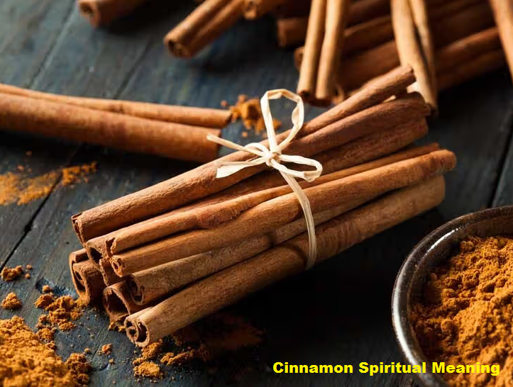Cinnamon Spiritual Meaning
