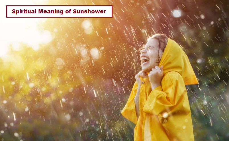 Spiritual Meaning of Sunshower
