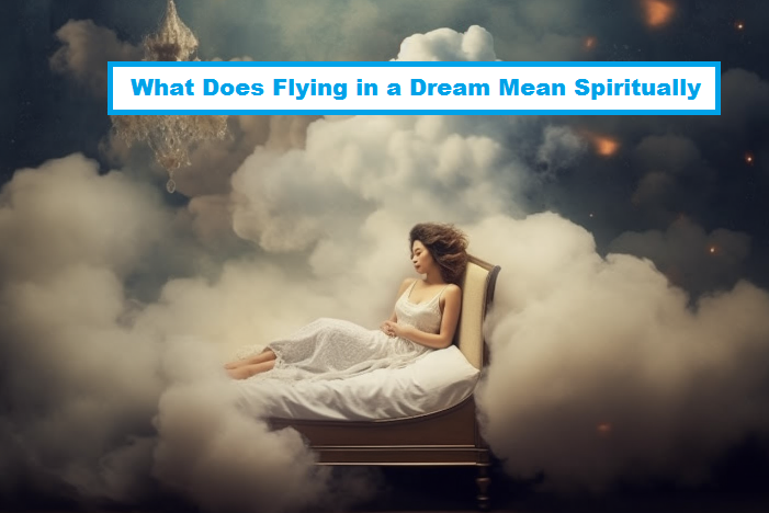 梦见飞翔在精神上意味着什么
