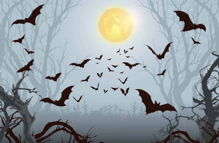 Bat Dreams and Their Interpretations