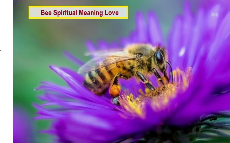 Bee Spiritual Meaning Love