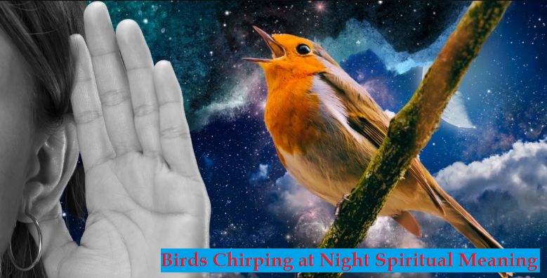Birds Chirping at Night Spiritual Meaning