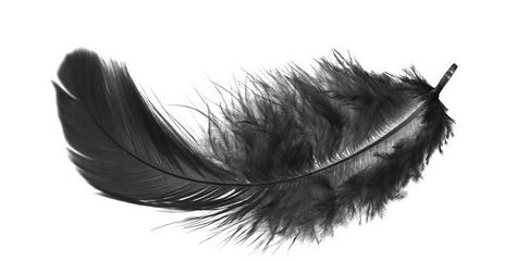 Black Feather Mean for Love