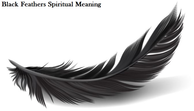 Μαύρα φτερά πνευματική έννοια