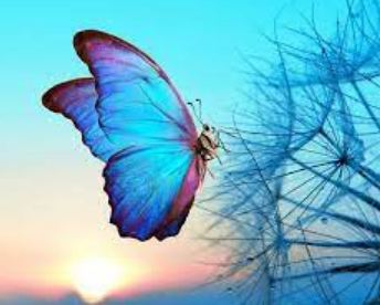 Blue Butterfly Spiritual Intsingiselo Uthando