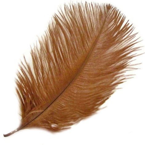 Brown Feather Meaning in The Bible