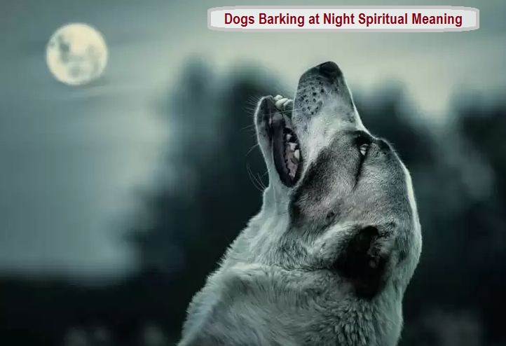 Σκυλιά που γαβγίζουν τη νύχτα Πνευματικό νόημα