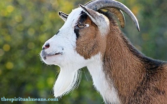 Goat Christianity Symbolism