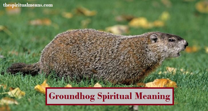 Groundhog Spiritual Meaning