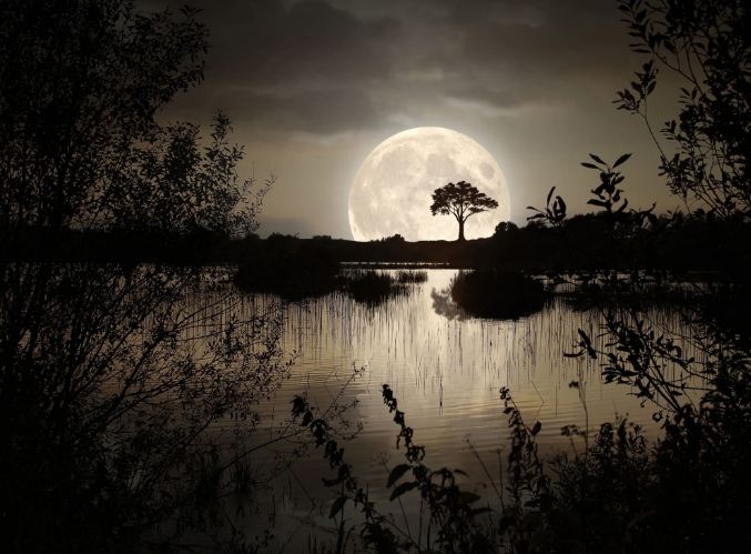 How Can I Have Good Night Sleep During the Full Moon?
