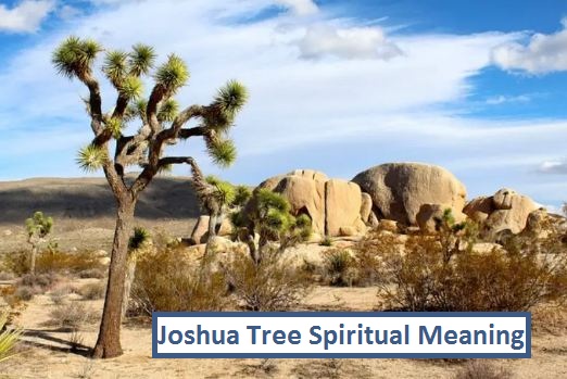 Ջոշուա ծառի հոգևոր իմաստը