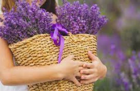 Lavender Meaning in Love