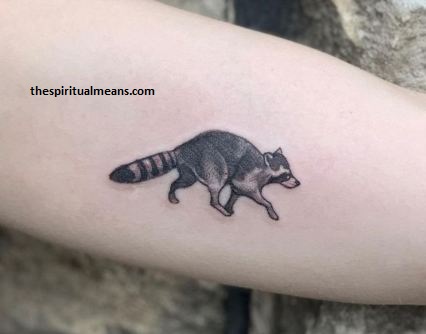 Meanings Of Raccoon Tattoos