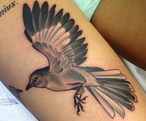 Mockingbird Tattoo Meaning