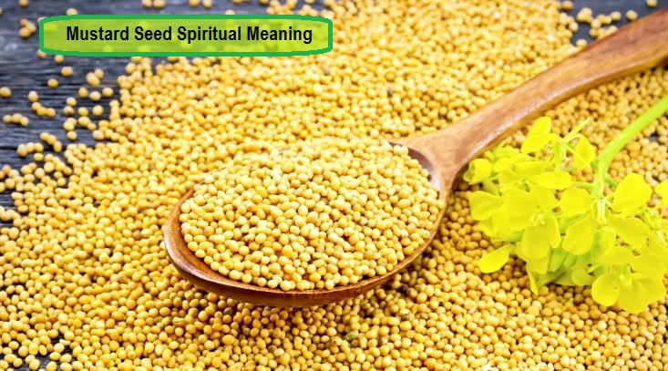 Mustard Seed Spiritual Meaning