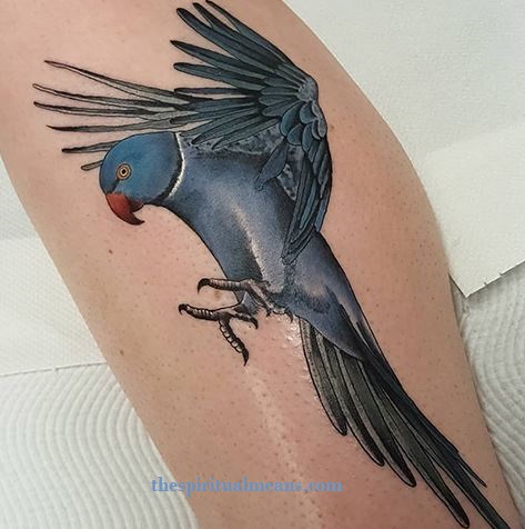 Parrot Tattoo Meaning