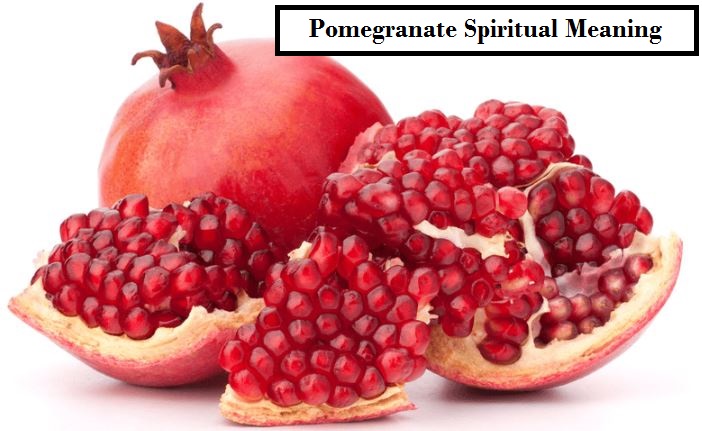 Pomegranate Spiritual Meaning