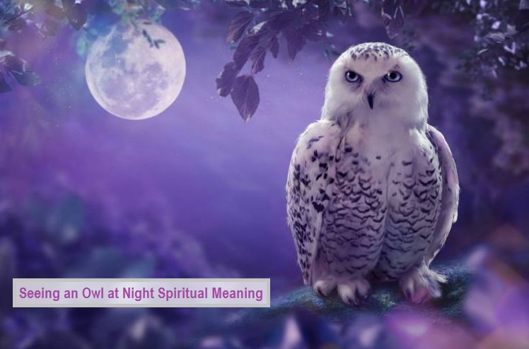 At se en ugle om natten åndelig betydning