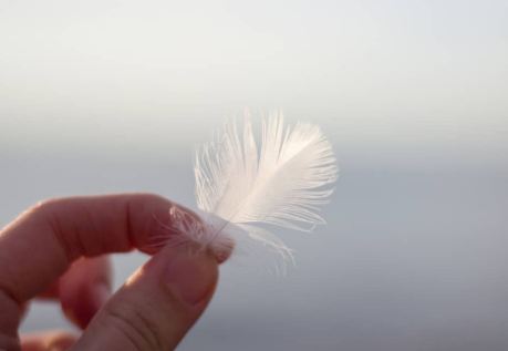 Small White Feather Meaning