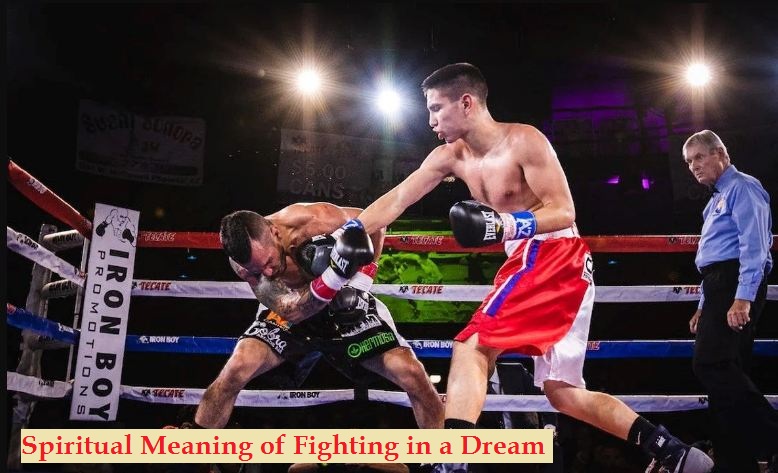 Spiritual Meaning of Fighting in a Dream