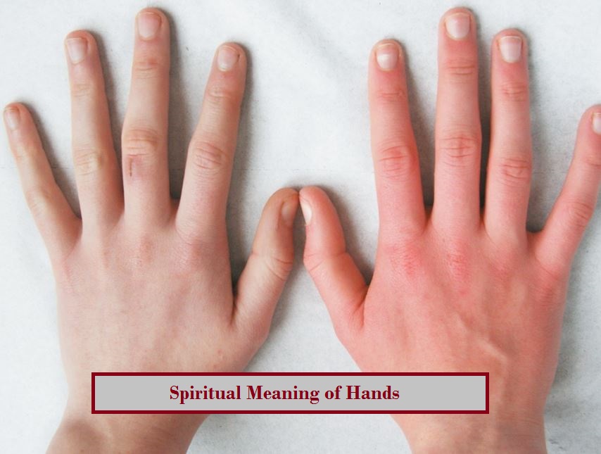 Spiritual Meaning of Hands