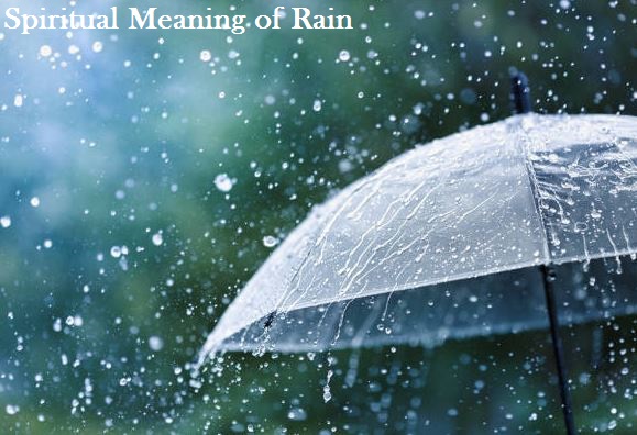 Spiritual Meaning of Rain