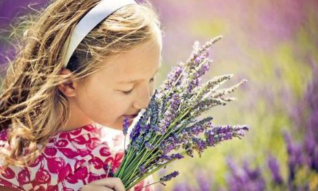 Spiritual Meaning of Smelling Lavender
