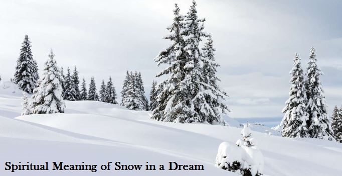 Spiritual Meaning of Snow in a Dream