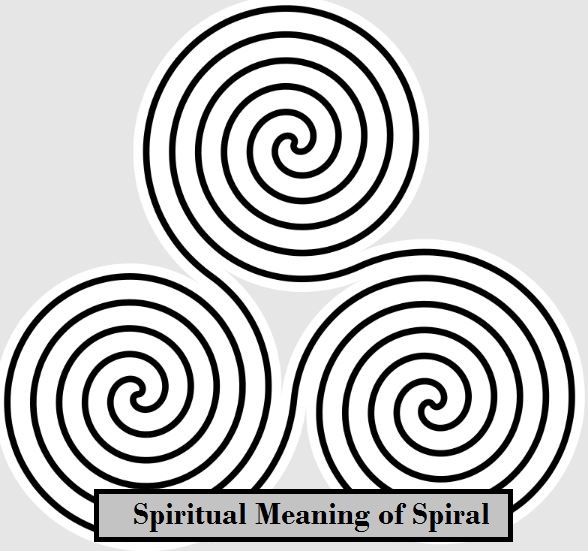 Spiritual Meaning of Spiral