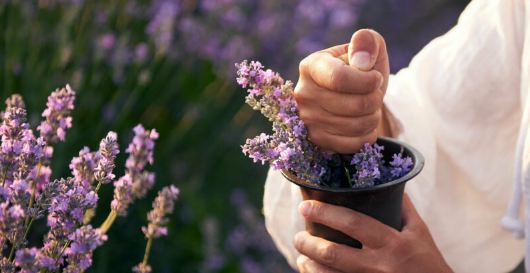 The Spiritual Benefits of Lavender