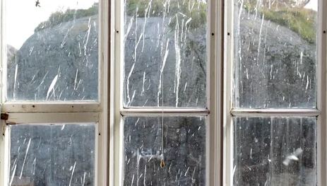 The Spiritual Meaning Of Bird Poop On Window