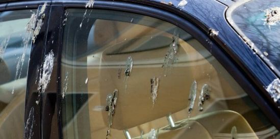 The Spiritual Meaning of Bird Poop on Your Car
