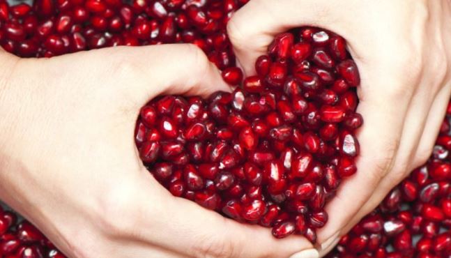The Spiritual Meaning of The Pomegranate in Buddhism