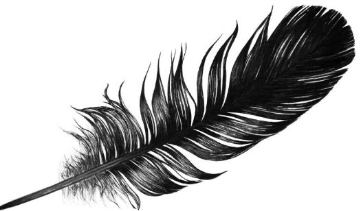 To Dream About Black Feathers