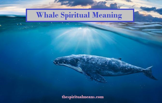 Whale Spiritual Meaning
