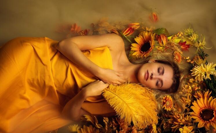 What Does it Mean if You Dream of a Sunflower