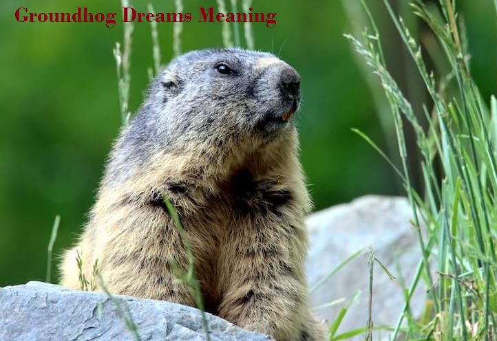 What’s the Meaning of Groundhog Dreams