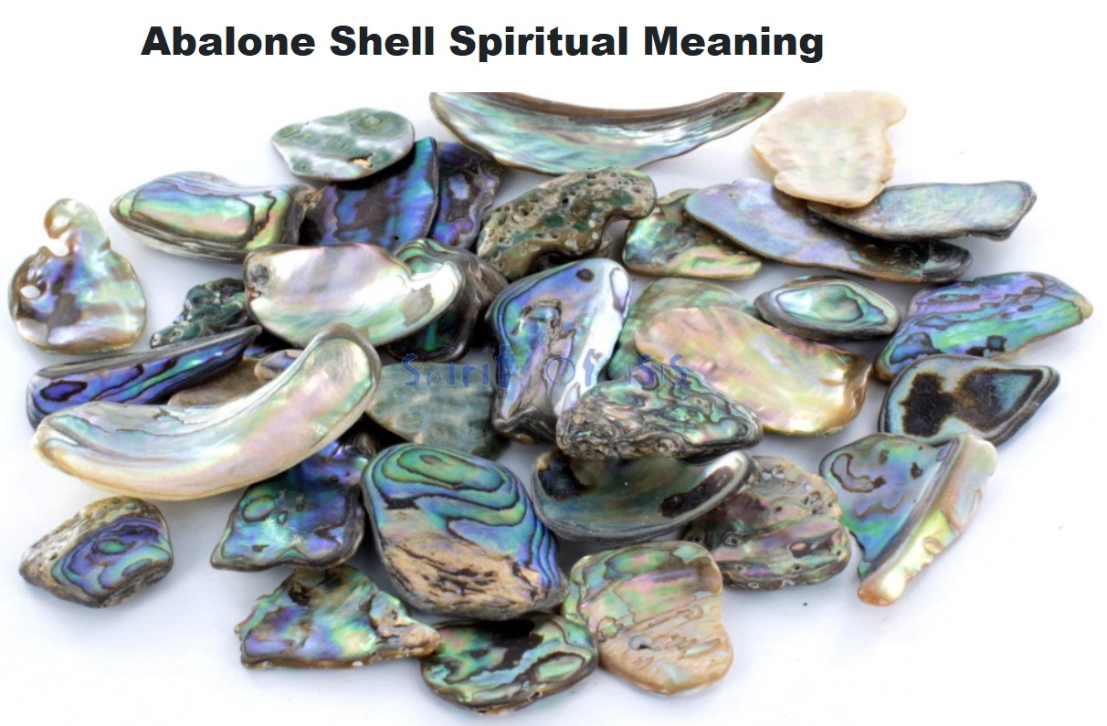 abalone shell spiritual meaning