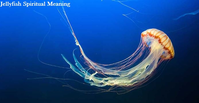 Jellyfish Spiritual Meaning
