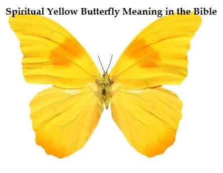 Spiritual Yellow Butterfly Meaning in the Bible