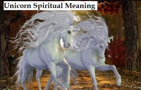 Unicorn Spiritual Meaning