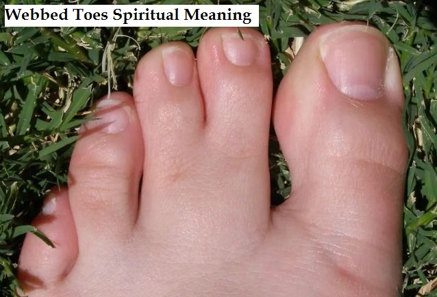 Webbed Toes Spiritual Meaning